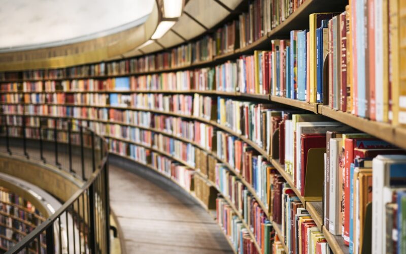 Person reading a book